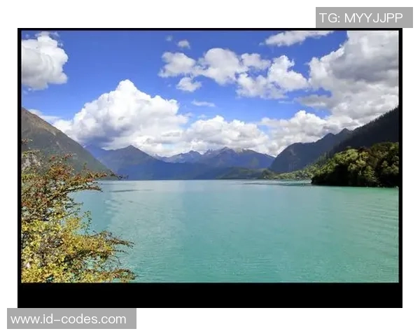 卡尼吉亚的传奇旅程与文化影响力探讨 卡尼吉亚的传奇旅程与文化影响力探讨