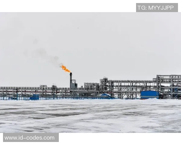 亚马尔地区的能源战略与全球气候变化的相互影响分析 亚马尔地区的能源战略与全球气候变化的相互影响分析