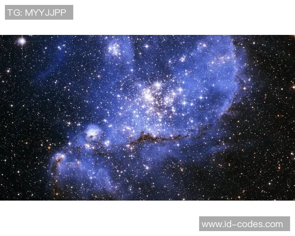 王岚的音乐之旅：从初出茅庐到璀璨星空的成长故事