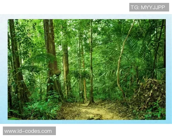 绿色森林与米尔顿的生态对话与自然和谐共生的探索之旅