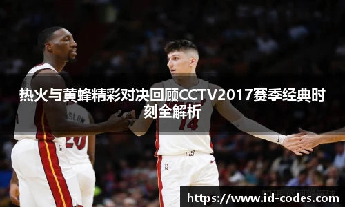 热火与黄蜂精彩对决回顾CCTV2017赛季经典时刻全解析